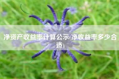 净资产收益率计算公示(净收益率多少合适)