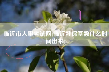 临沂市人事考试网(临沂社保基数什么时间出来)