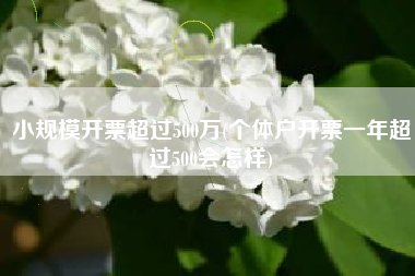 小规模开票超过500万(个体户开票一年超过500会怎样)