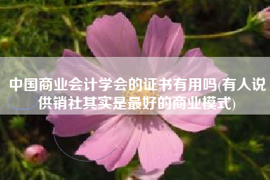 中国商业会计学会的证书有用吗(有人说供销社其实是最好的商业模式)