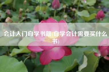 会计入门自学书籍(自学会计需要买什么书)