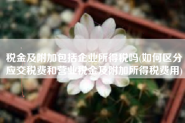 税金及附加包括企业所得税吗(如何区分应交税费和营业税金及附加所得税费用)
