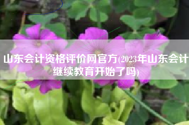 山东会计资格评价网官方(2023年山东会计继续教育开始了吗)