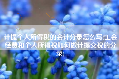 计提个人所得税的会计分录怎么写(工会经费和个人所得税如何做计提交税的分录)