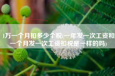 1万一个月扣多少个税(一年发一次工资和一个月发一次工资扣税是一样的吗)