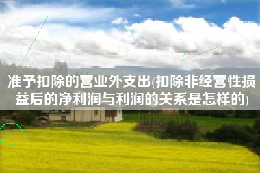 准予扣除的营业外支出(扣除非经营性损益后的净利润与利润的关系是怎样的)