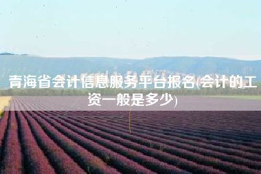 青海省会计信息服务平台报名(会计的工资一般是多少)