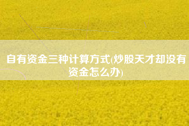 自有资金三种计算方式(炒股天才却没有资金怎么办)