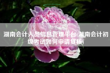 湖南会计人员信息管理平台(湖南会计初级考试如何申请复核)