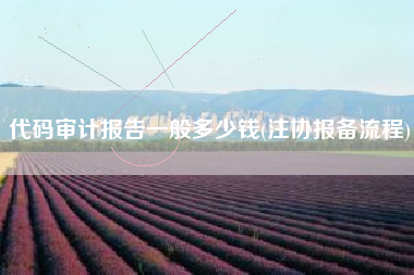 代码审计报告一般多少钱(注协报备流程)
