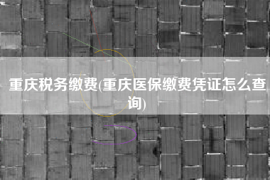 重庆税务缴费(重庆医保缴费凭证怎么查询)