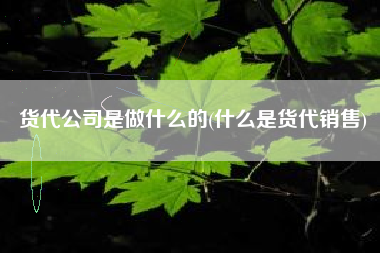 详细阅读:货代公司是做什么的(什么是货代销售) 货代公司是做什么的(什么是货代销售)