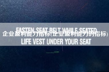 详细阅读:企业盈利能力指标(企业盈利能力的指标) 企业盈利能力指标(企业盈利能力的指标)