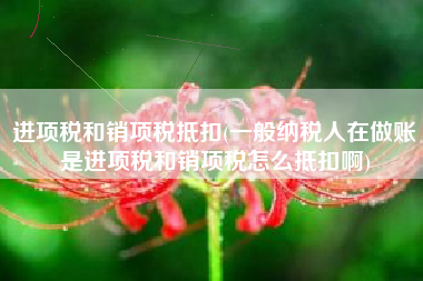 详细阅读:进项税和销项税抵扣(一般纳税人在做账是进项税和销项税怎么抵扣啊) 进项税和销项税抵扣(一般纳税人在做账是进项税和销项税怎么抵扣啊)