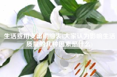 详细阅读:生活费用支出明细表(大家认为影响生活质量的几种因素是什么) 生活费用支出明细表(大家认为影响生活质量的几种因素是什么)