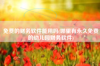详细阅读:免费的财务软件能用吗(哪里有永久免费的幼儿园财务软件) 免费的财务软件能用吗(哪里有永久免费的幼儿园财务软件)