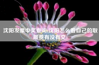 详细阅读:沈阳发票中奖查询(沈阳怎么看自己的取暖费有没有交) 沈阳发票中奖查询(沈阳怎么看自己的取暖费有没有交)