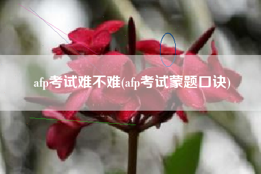 详细阅读:afp考试难不难(afp考试蒙题口诀) afp考试难不难(afp考试蒙题口诀)