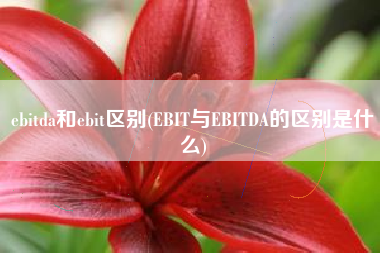 详细阅读:ebitda和ebit区别(EBIT与EBITDA的区别是什么) ebitda和ebit区别(EBIT与EBITDA的区别是什么)