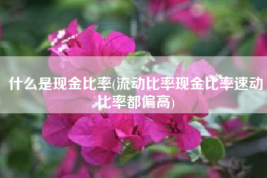 什么是现金比率(流动比率现金比率速动比率都偏高)