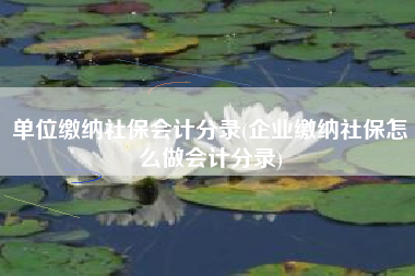 单位缴纳社保会计分录(企业缴纳社保怎么做会计分录)