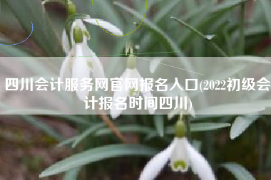 四川会计服务网官网报名入口(2022初级会计报名时间四川)
