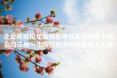 企业所得税年度纳税申报表在哪里下载(公司注册一年现在想办税务报道怎么弄)