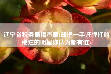 辽宁省税务局稽查局(却把一手好牌打的稀烂的明星你认为都有谁)