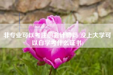 非专业可以考注册会计师吗(没上大学可以自学考什么证书)