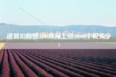 速算扣除数210(珠海工资30000个税多少
)
