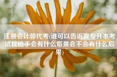 注册会计师代考(谁可以告诉我专升本考试找枪手会有什么后果会不会有什么后果)