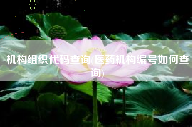 机构组织代码查询(医药机构编号如何查询)