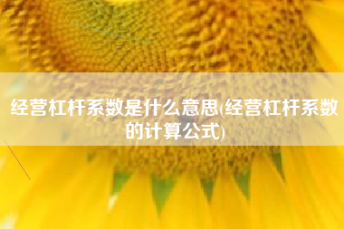经营杠杆系数是什么意思(经营杠杆系数的计算公式)