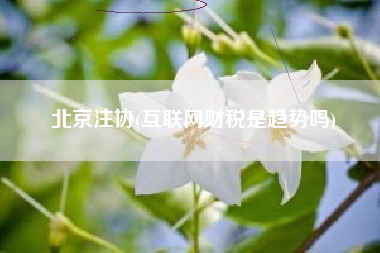 北京注协(互联网财税是趋势吗)