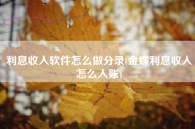 利息收入软件怎么做分录(金蝶利息收入怎么入账)