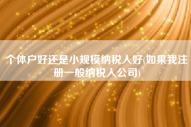 个体户好还是小规模纳税人好(如果我注册一般纳税人公司)