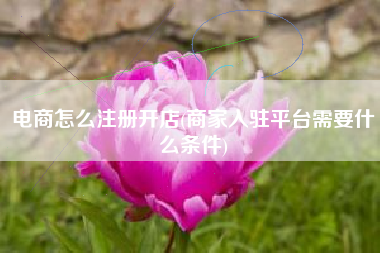 电商怎么注册开店(商家入驻平台需要什么条件)