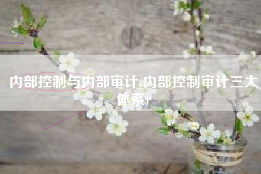 内部控制与内部审计(内部控制审计三大体系)