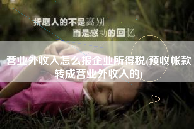 详细阅读:营业外收入怎么报企业所得税(预收帐款转成营业外收入的) 营业外收入怎么报企业所得税(预收帐款转成营业外收入的)