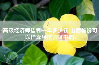 高级经济师挂靠一年多少钱(山西临汾可以挂靠经济师证书吗)