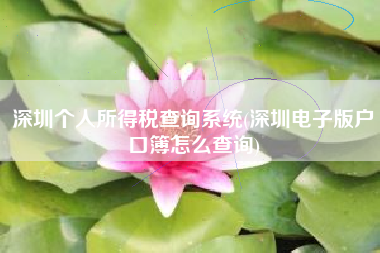 深圳个人所得税查询系统(深圳电子版户口簿怎么查询)