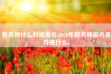 税务师什么时候报名(2020年税务师报名条件是什么)