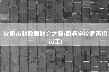 详细阅读:沈阳市财政局财会之窗(商务学校是否招员工) 沈阳市财政局财会之窗(商务学校是否招员工)