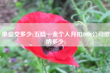 单位交多少(五险一金个人月扣1000公司缴纳多少)