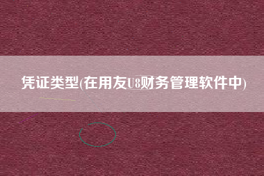 凭证类型(在用友U8财务管理软件中)