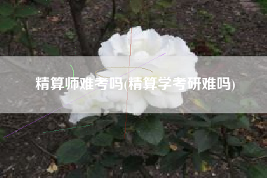 精算师难考吗(精算学考研难吗)