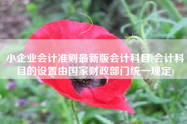 小企业会计准则最新版会计科目(会计科目的设置由国家财政部门统一规定)