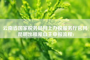 云南省国家税务局网上办税服务厅官网(昆明出租屋自主申报流程)