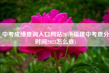 中考成绩查询入口网站2019(福建中考查分时间2023怎么查)