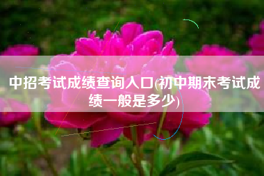 中招考试成绩查询入口(初中期末考试成绩一般是多少)